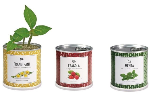 gift_gadgets-oltre-la-carta-buffetti-lecce Gift, Gadgets Oltre la Carta - Buffetti Lecce